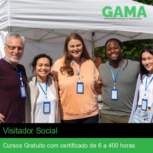 Visitador Social